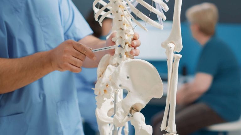 Understanding Spinal Cord Injury Levels