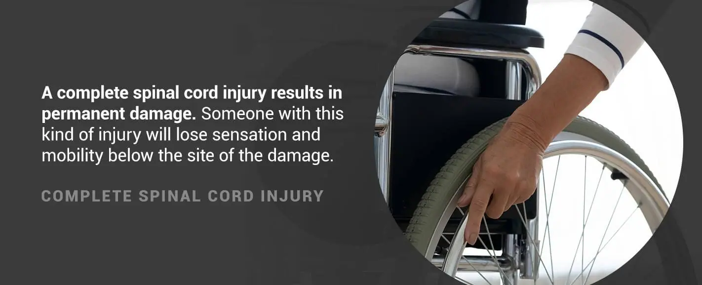 Understanding Spinal Cord Injury Levels - PAM Health, image size:1422x577