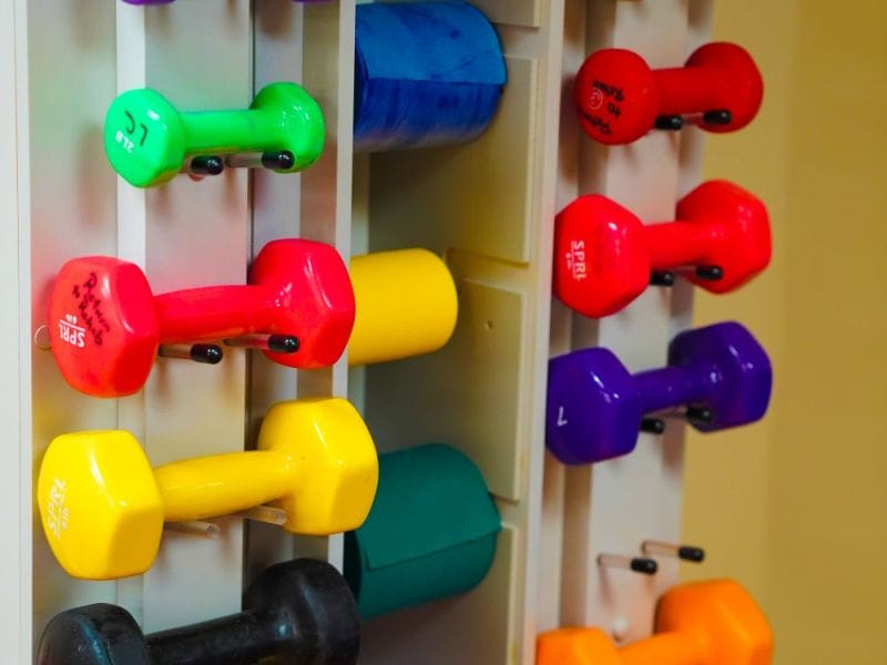 colorful barbells